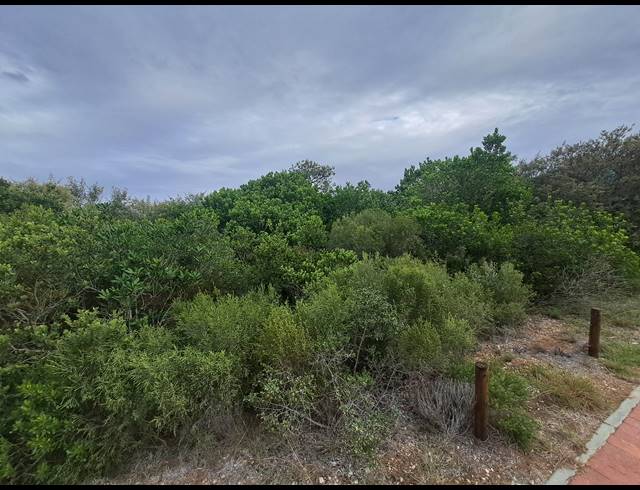 2,779M² VACANT LAND FOR SALE IN SPRINGERBAAI ECO ESTATE